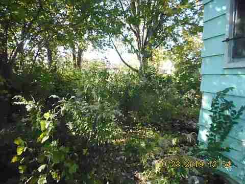 11377 Penrod (2)_m.jpg